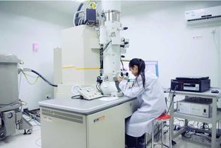 選對(duì)大學(xué)專(zhuān)業(yè) 中國(guó)材料科學(xué)與計(jì)算機(jī)工程強(qiáng)校對(duì)比，浙大與交大如何抉擇